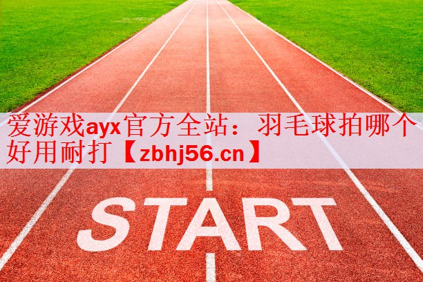 爱游戏ayx官方全站：羽毛球拍哪个好用耐打