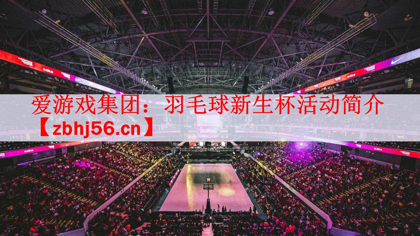 爱游戏集团：羽毛球新生杯活动简介