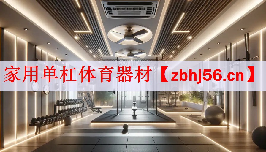 <strong>家用单杠体育器材</strong>