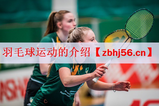 <strong>羽毛球运动的介绍</strong>