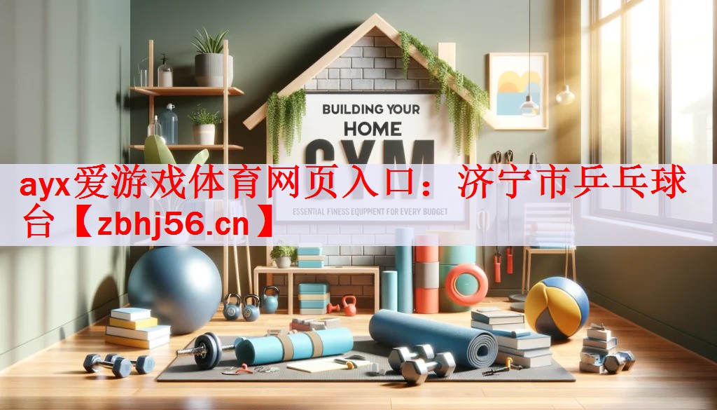济宁市乒乓球台