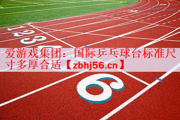 国际乒乓球台标准尺寸多厚合适
