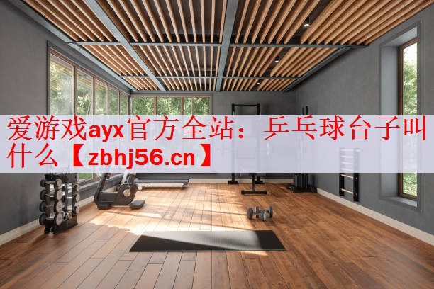 乒乓球台子叫什么