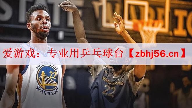 专业用乒乓球台