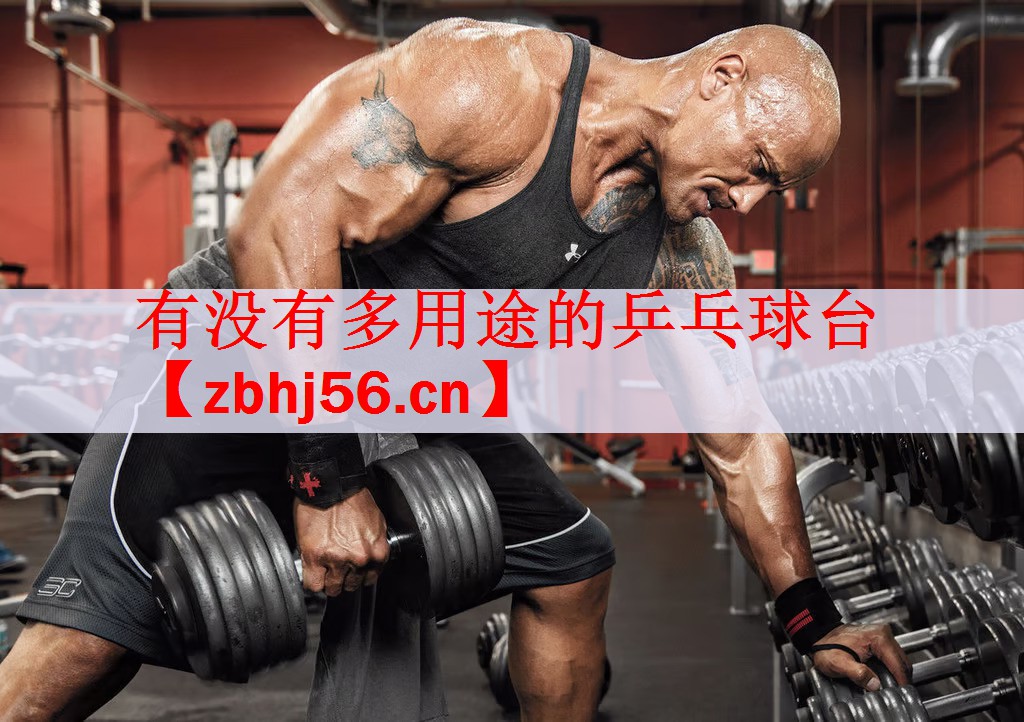 有没有多用途的乒乓球台