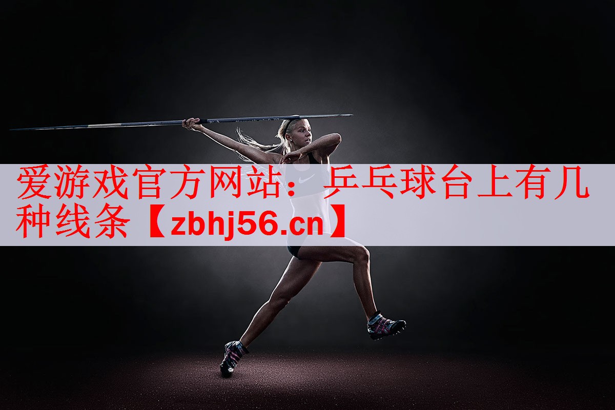 乒乓球台上有几种线条
