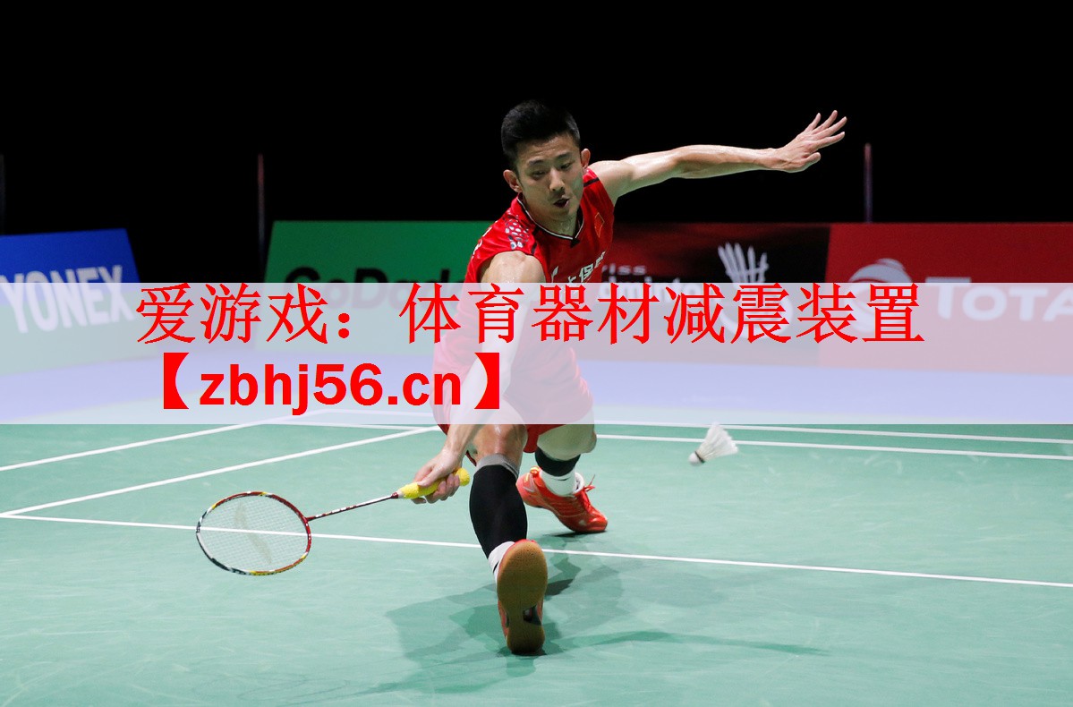 体育器材减震装置