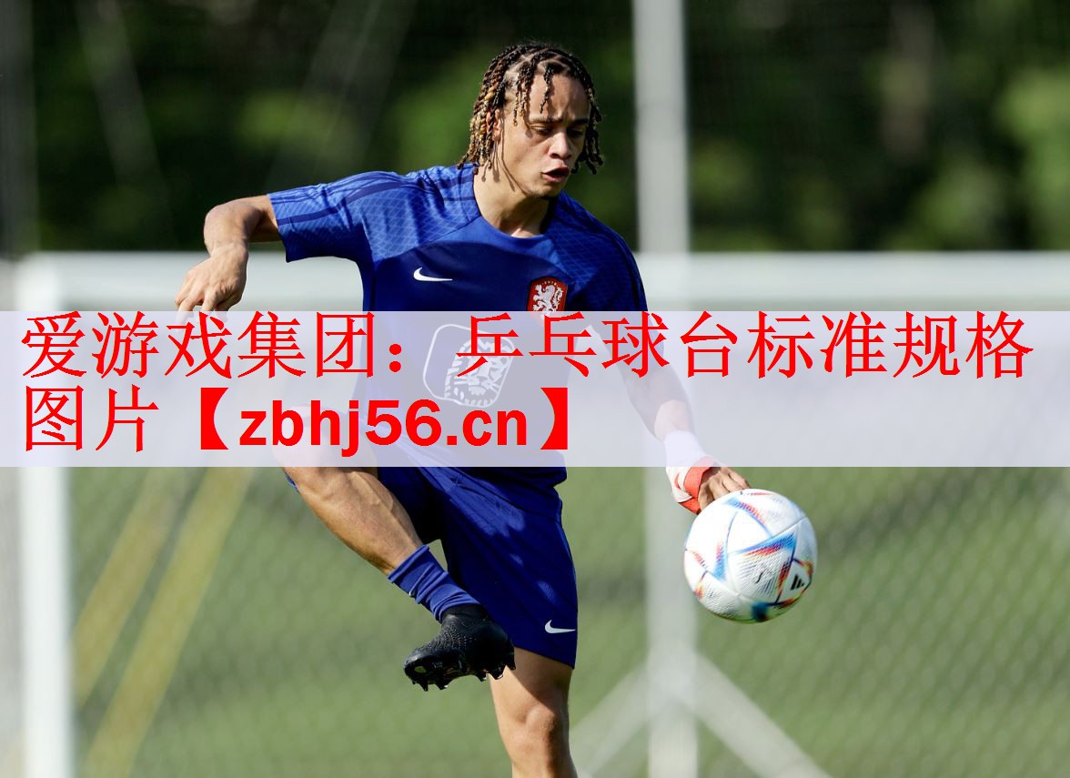 乒乓球台标准规格图片