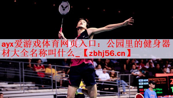 公园里的健身器材大全名称叫什么_