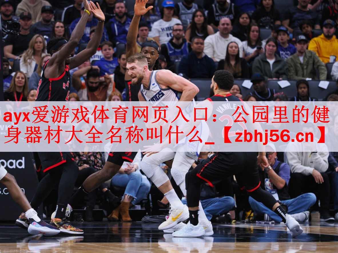 公园里的健身器材大全名称叫什么_