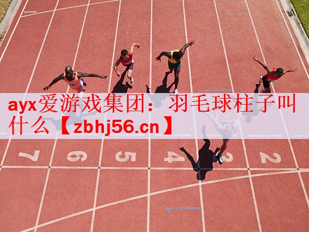 羽毛球柱子叫什么