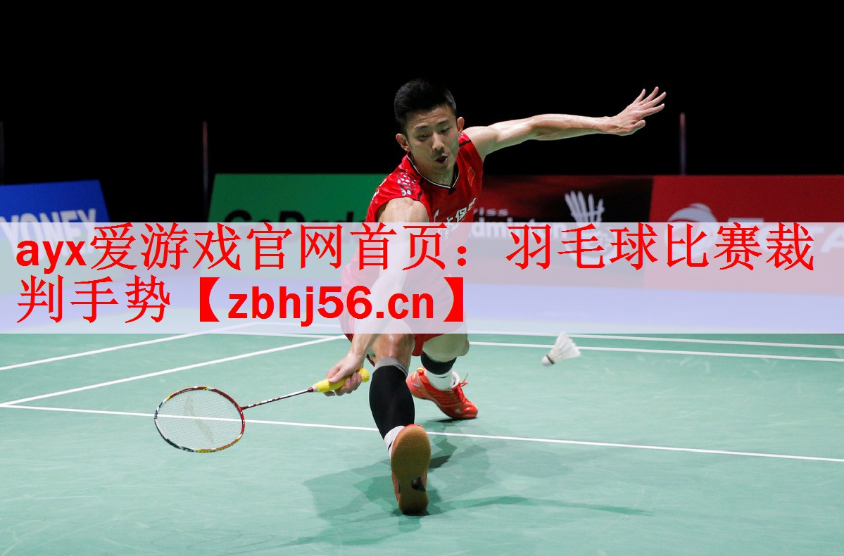 羽毛球比赛裁判手势