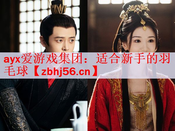 适合新手的羽毛球