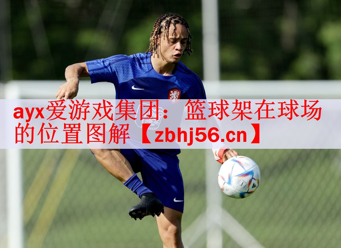篮球架在球场的位置图解