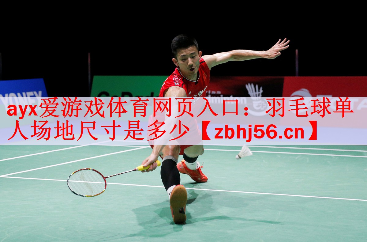 羽毛球单人场地尺寸是多少