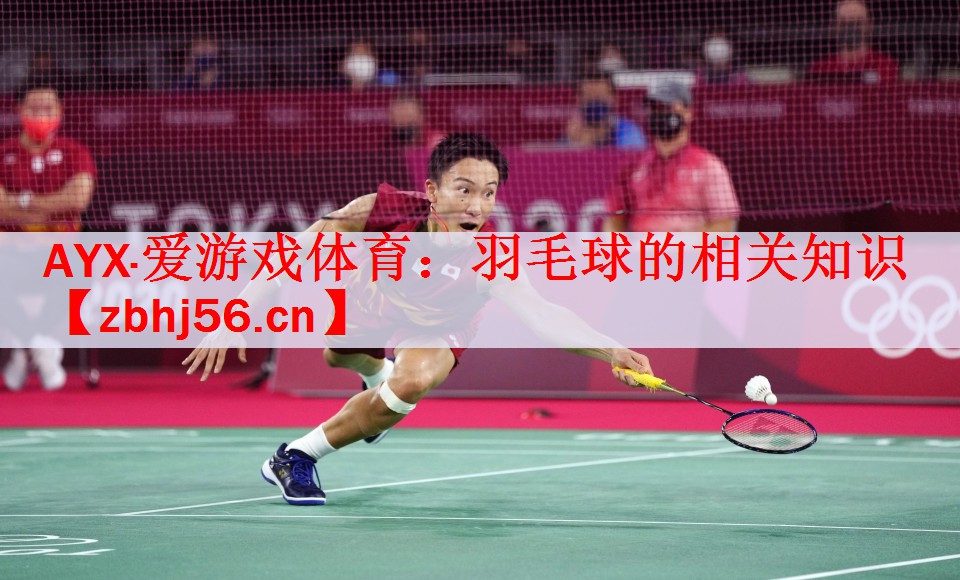 羽毛球的相关知识