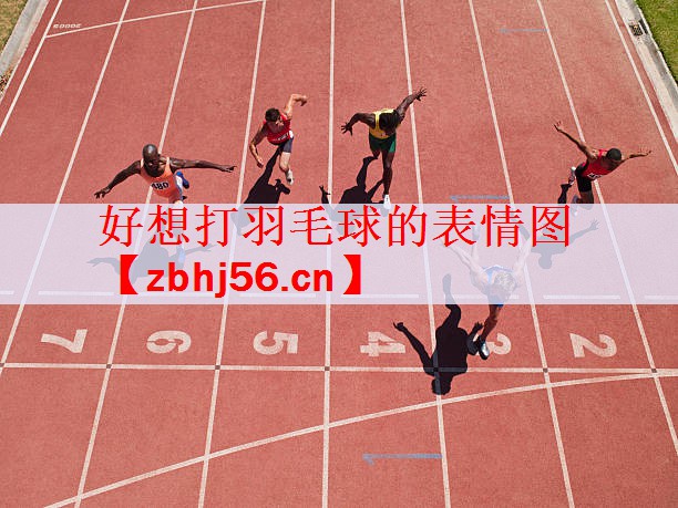 好想打羽毛球的表情图