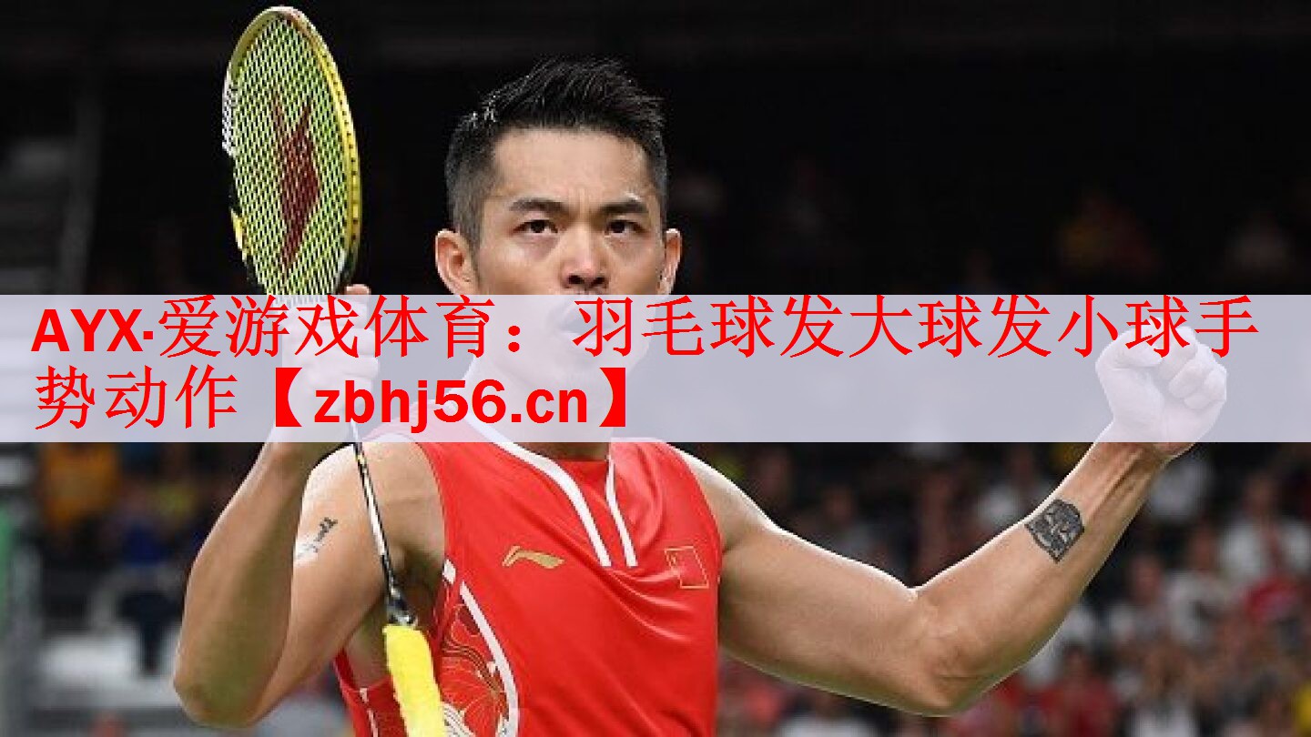 羽毛球发大球发小球手势动作