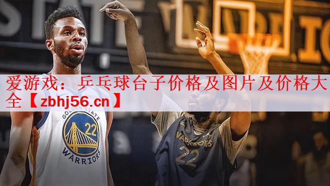 乒乓球台子价格及图片及价格大全