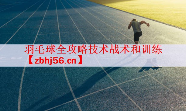 羽毛球全攻略技术战术和训练