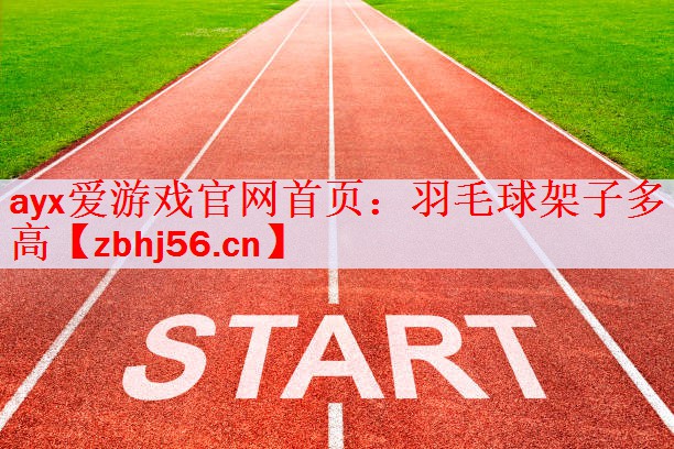 羽毛球架子多高