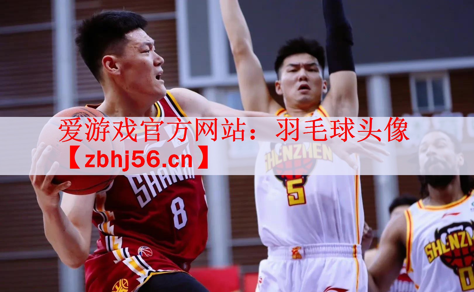 羽毛球头像