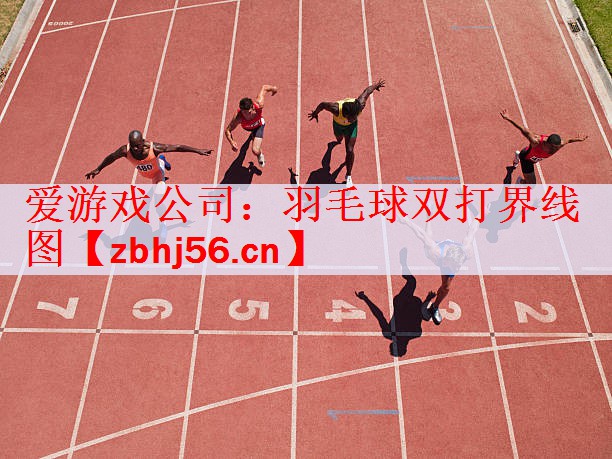 羽毛球双打界线图