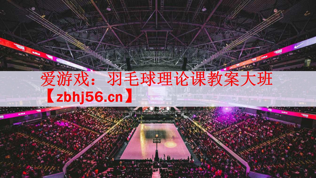 羽毛球理论课教案大班