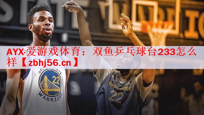 双鱼乒乓球台233怎么样