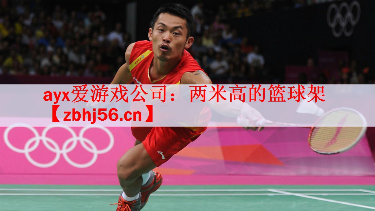 两米高的篮球架